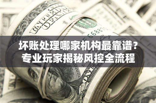 武汉坏账处理哪家机构最靠谱？专业玩家揭秘风控全流程