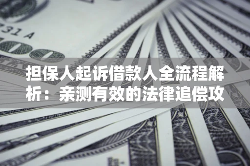 武汉担保人起诉借款人全流程解析：亲测有效的法律追偿攻略