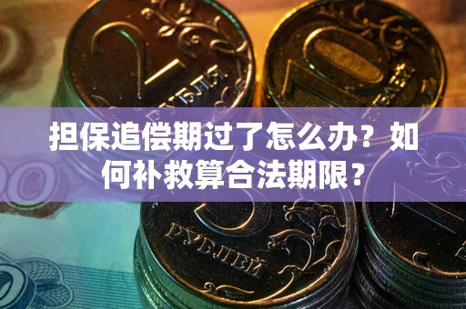 武汉担保追偿期过了怎么办？如何补救算合法期限？