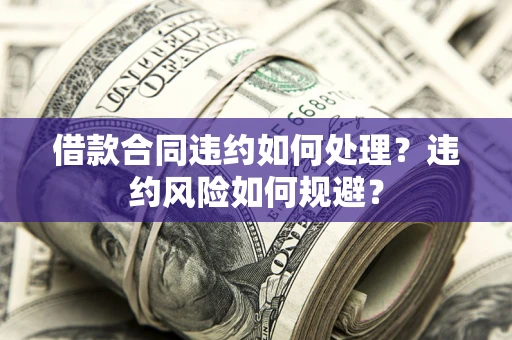 武汉借款合同违约如何处理？违约风险如何规避？