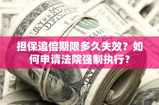 武汉担保追偿期限多久失效？如何申请法院强制执行？