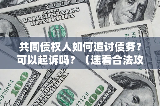 武汉共同债权人如何追讨债务？可以起诉吗？（速看合法攻略）