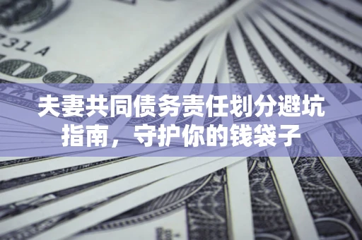 武汉夫妻共同债务责任划分避坑指南，守护你的钱袋子