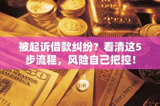武汉被起诉借款纠纷？看清这5步流程，风险自己把控！