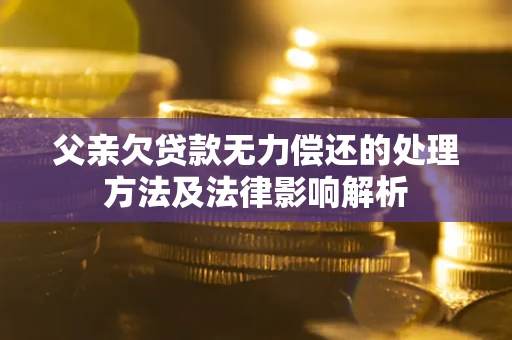 武汉父亲欠贷款无力偿还的处理方法及法律影响解析