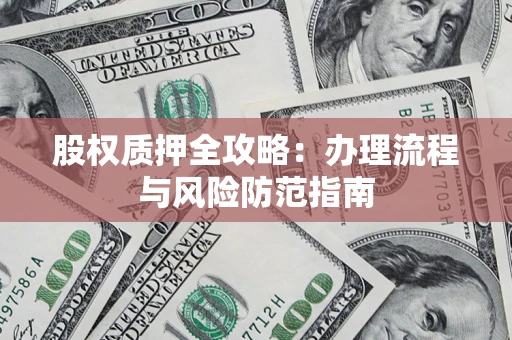 武汉股权质押全攻略：办理流程与风险防范指南